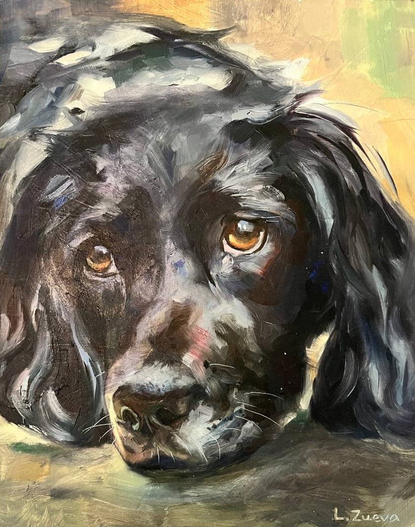 Portrait of Setter Dog