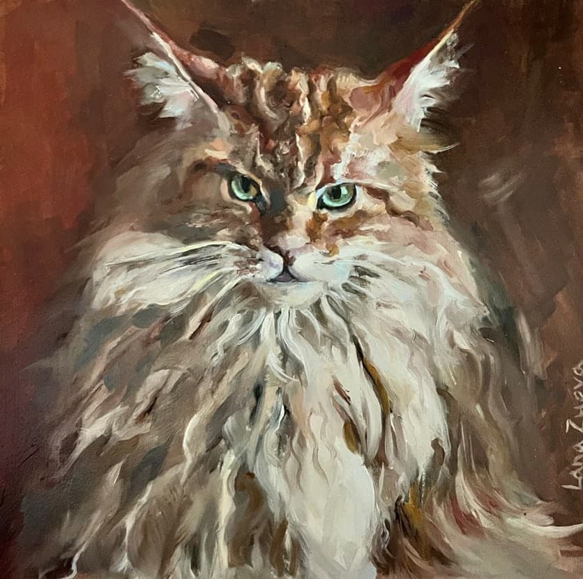 Maine Coon Majesty