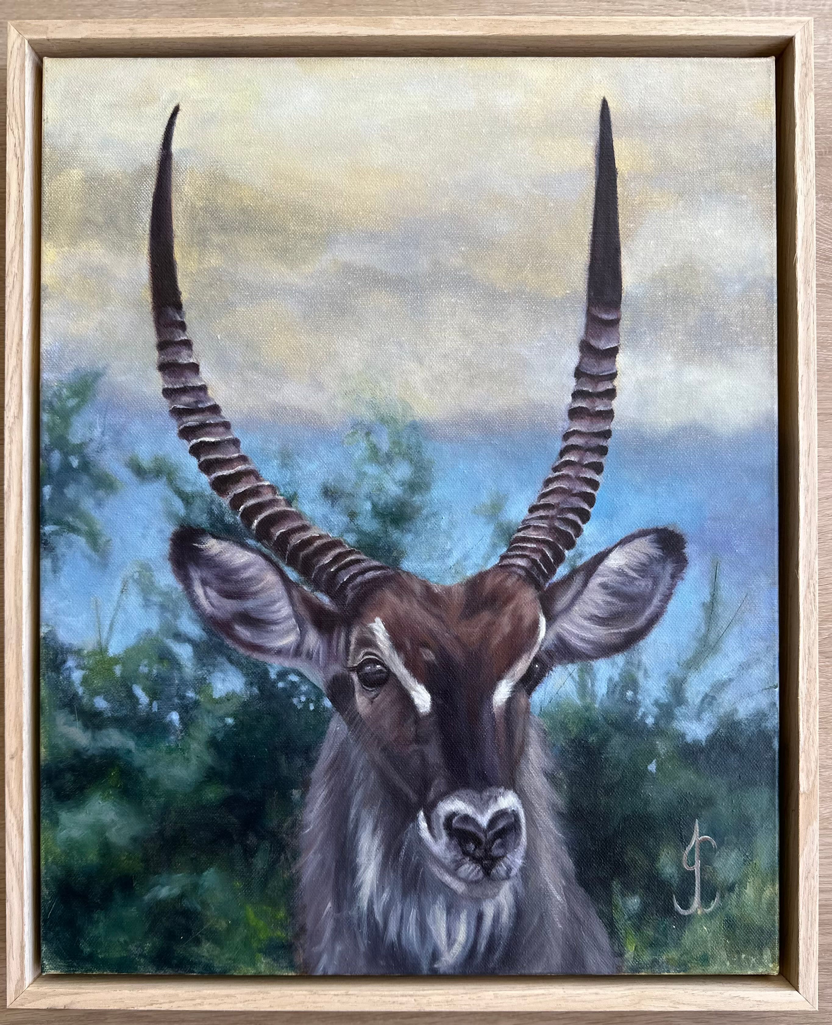 Waterbuck