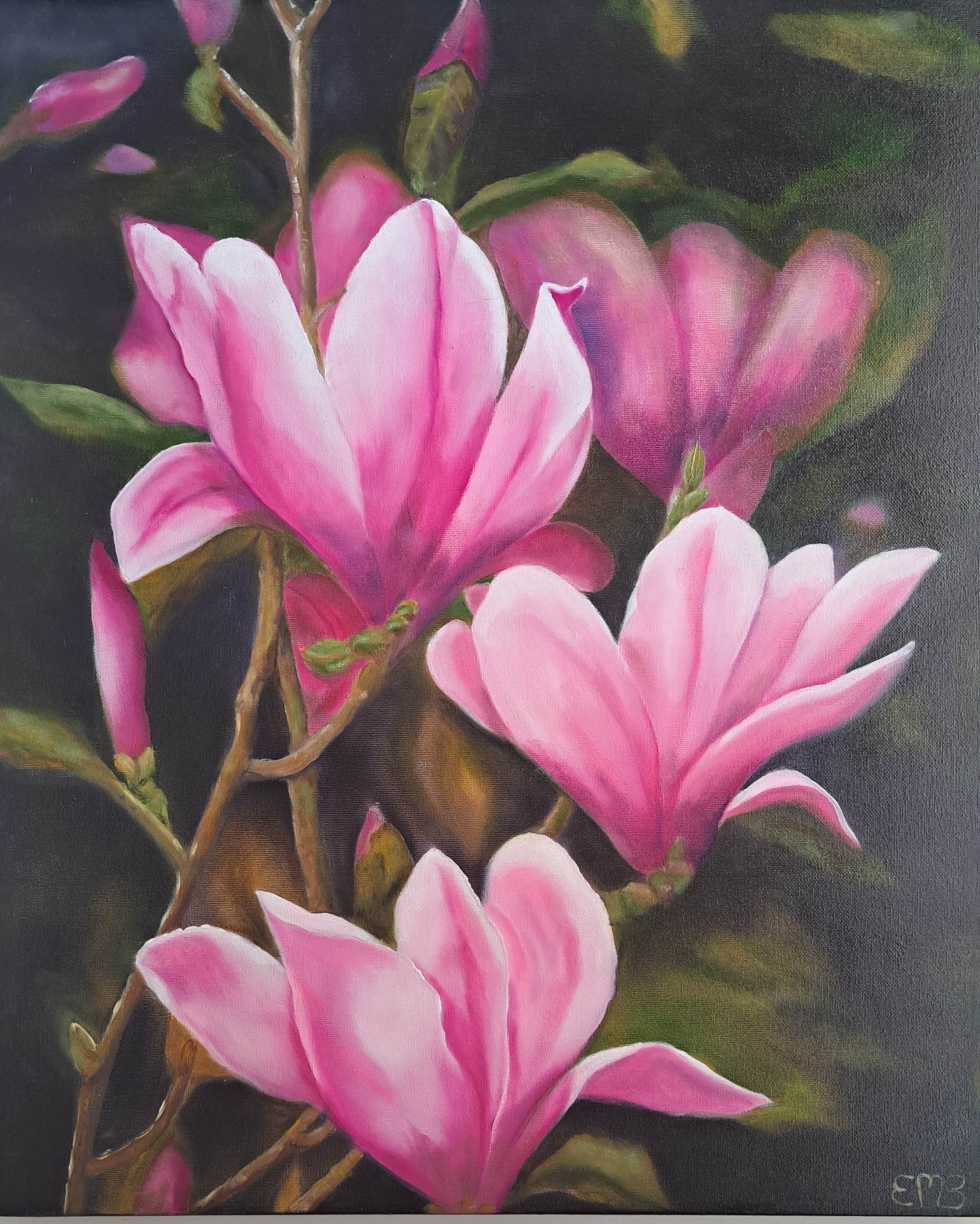 Magnolias - the 3 sisters