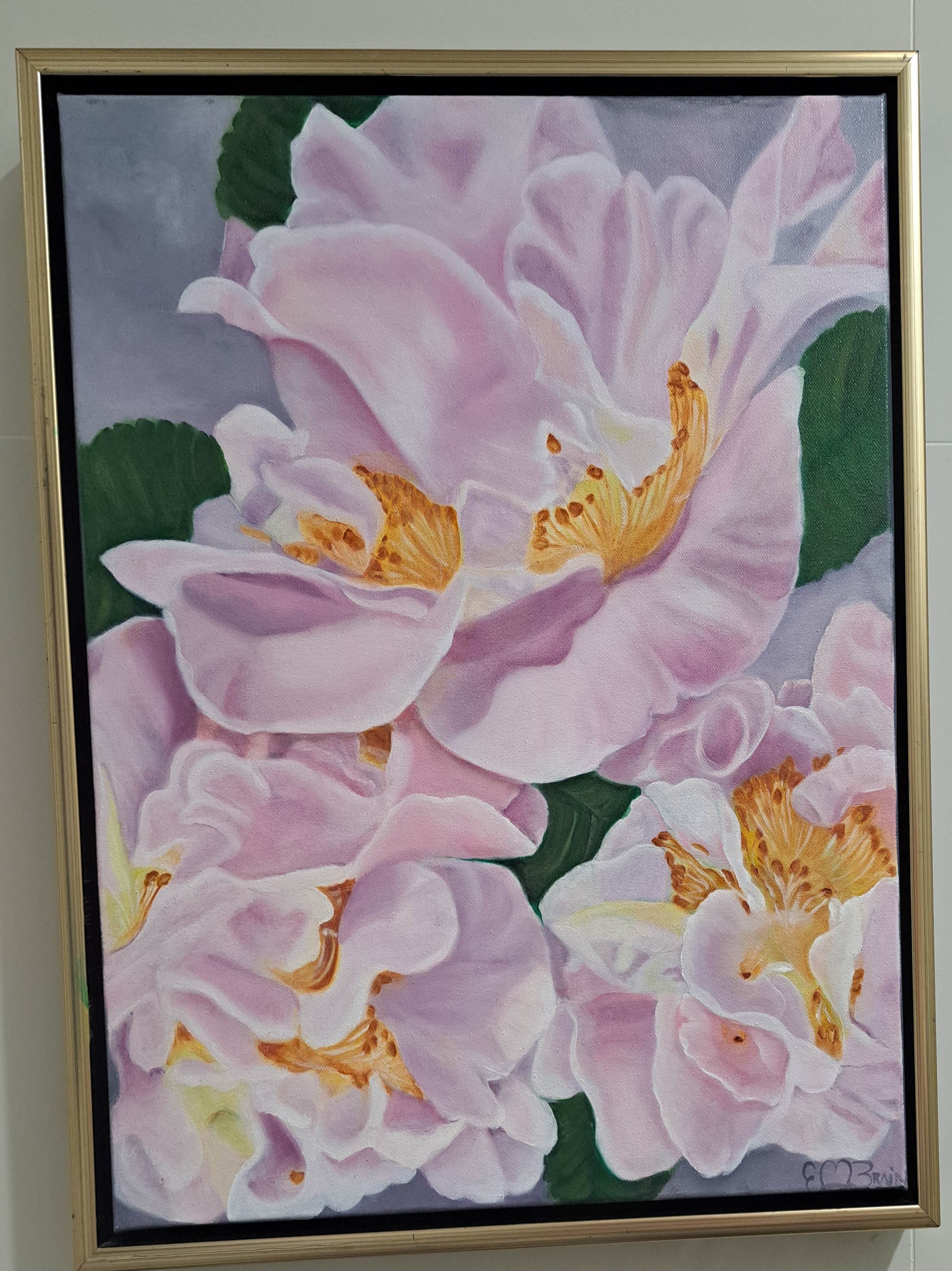 Camelias- Winter fragrance